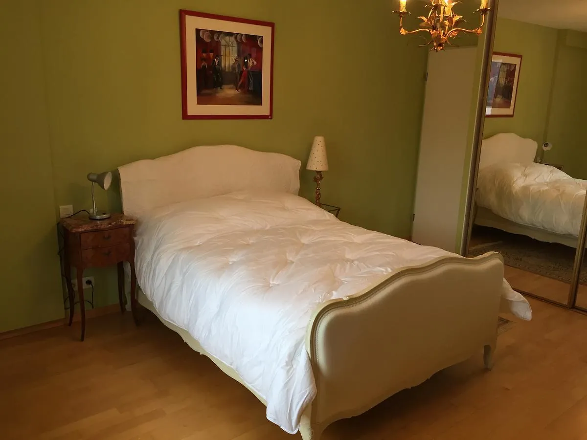 Les Balmettes Hotel Annecy Apartment